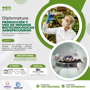 Diplomatura2