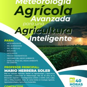 WhatsApp Image 2025-10-20 at 19.16.04